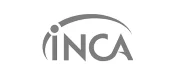 inca-instituto-nacional-do-cancer_resultado